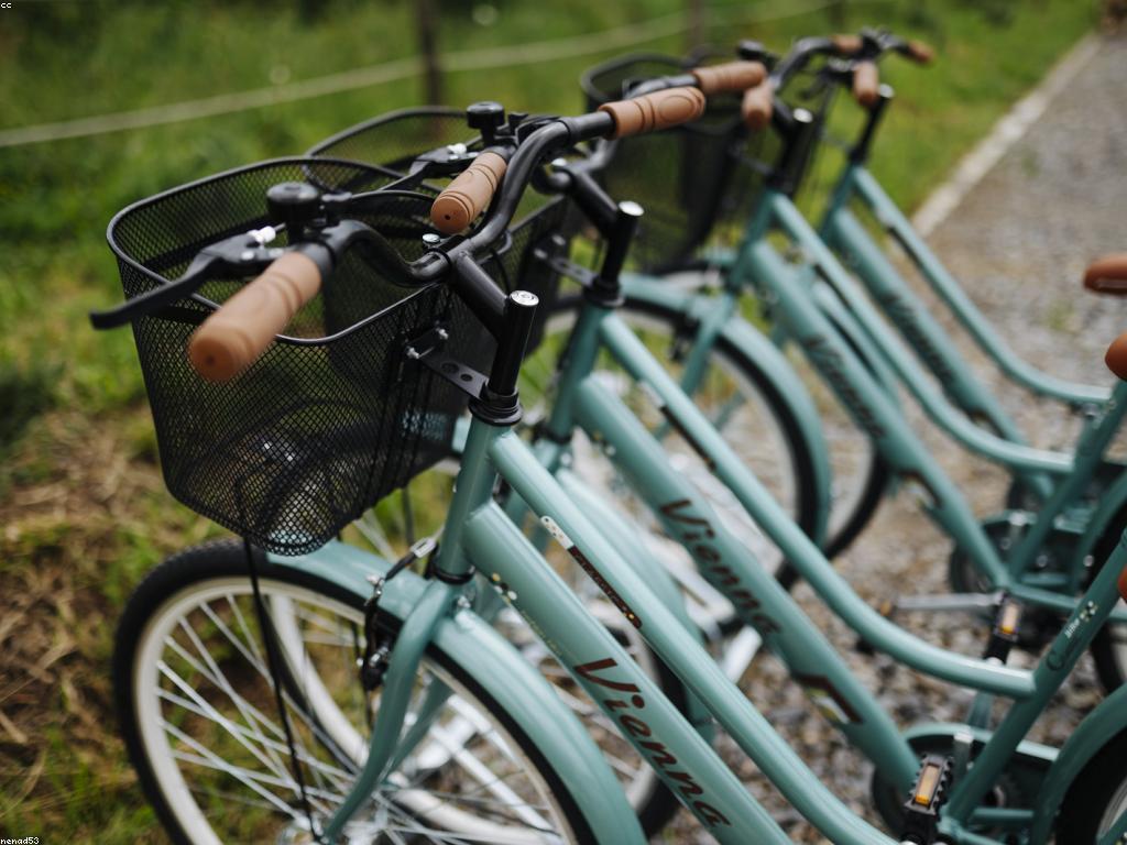 សំណួរញឹកញាប់អំពីការធ្វើដំណើរ